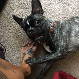 Meet your Posher, Gina